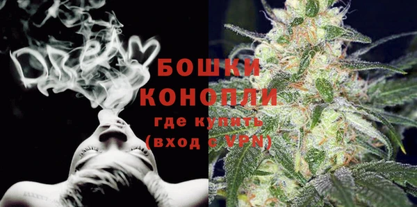 шишки Протвино