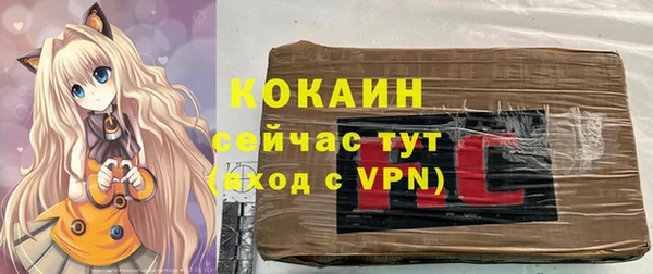 дживик Абинск